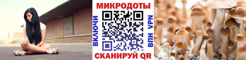 Псилоцибиновые грибы MAGIC MUSHROOMS Катайск